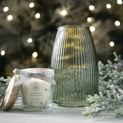 Vases><noscript><img width=
