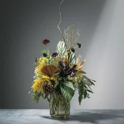 Vases><noscript><img width=