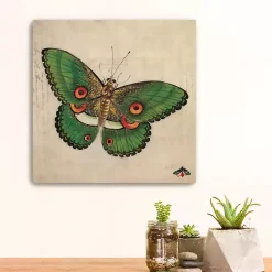 Kirklands Home Green Vintage Butterfly Canvas Art Print New