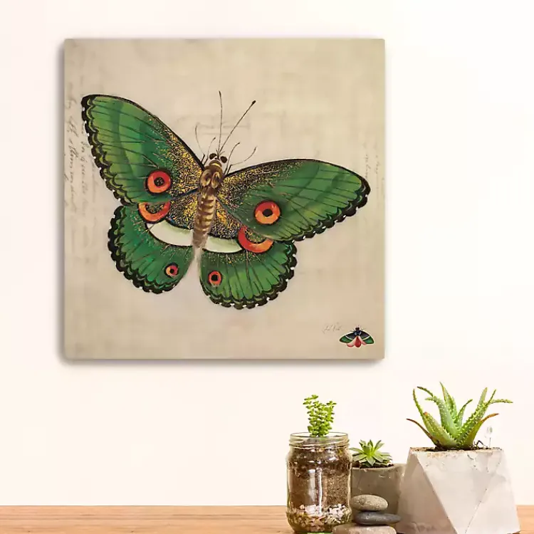 Kirklands Home Green Vintage Butterfly Canvas Art Print New