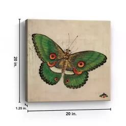 Kirklands Home Green Vintage Butterfly Canvas Art Print New