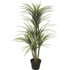 Trees & Topiaries>Kirklands Home Green Yucca Tree in Black Planter