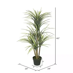 Trees & Topiaries><noscript><img width=