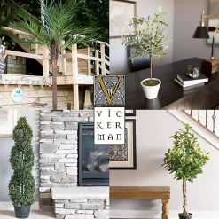 Trees & Topiaries><noscript><img width=