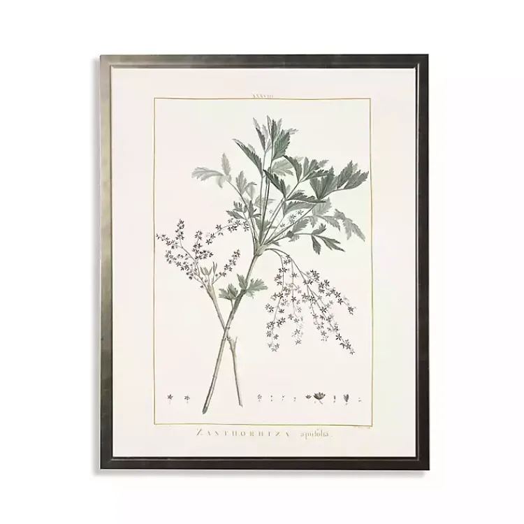 Kirklands Home Greenery Botanical IV Pewter Framed Art Print Ivory