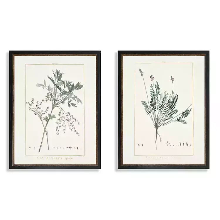Kirklands Home Greenery I Framed Art Prints, Set of 2 Ivory Sale