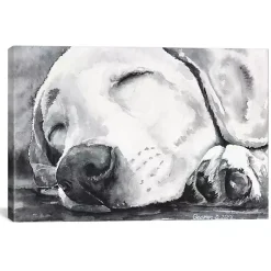 Kirklands Home Happy Dreams Dog Giclee Canvas Art Print, 26x18 Gray Outlet