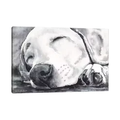 Kirklands Home Happy Dreams Dog Giclee Canvas Art Print, 40x26 Gray Clearance