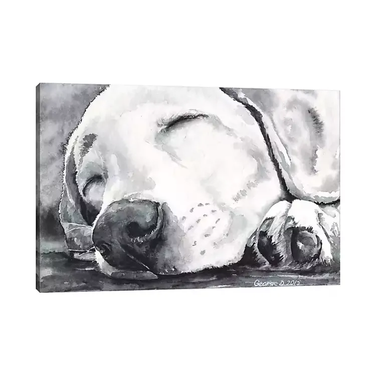 Kirklands Home Happy Dreams Dog Giclee Canvas Art Print, 40x26 Gray Clearance