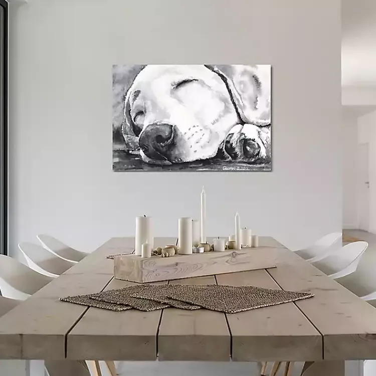 Kirklands Home Happy Dreams Dog Giclee Canvas Art Print, 40x26 Gray Clearance