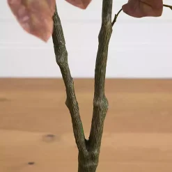 Trees & Topiaries><noscript><img width=