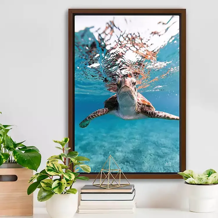 Kirklands Home Hello Turtle Framed Canvas Art Print Discount