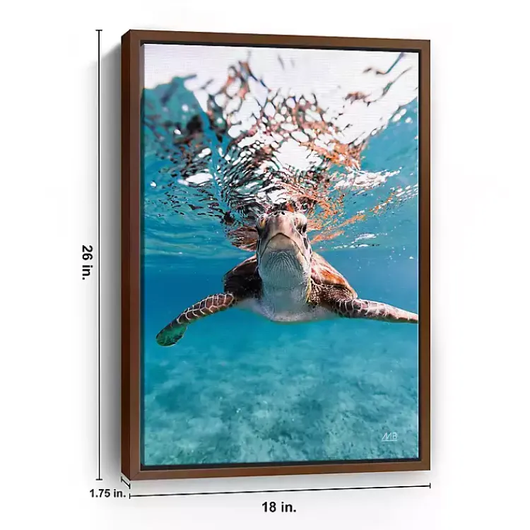 Kirklands Home Hello Turtle Framed Canvas Art Print Discount