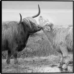 Kirklands Home Highland Courting Framed Canvas Art Print Gray Best