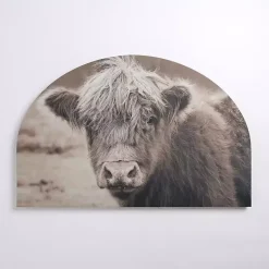 Kirklands Home Highland Cow Arched Canvas Art Print Brown