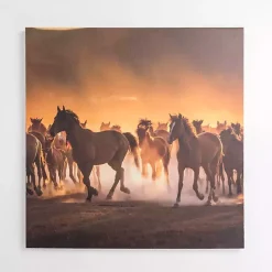 Kirklands Home Horses Running Wild Canvas Art Print Brown New