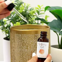 Home Fragrance><noscript><img width=