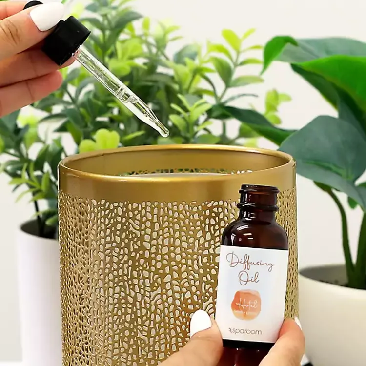 Home Fragrance>Kirklands Home Hotel 2-Pack Essential Oil