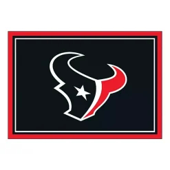 Kirklands Home Houston Texas Area Rug, 4x6 Black
