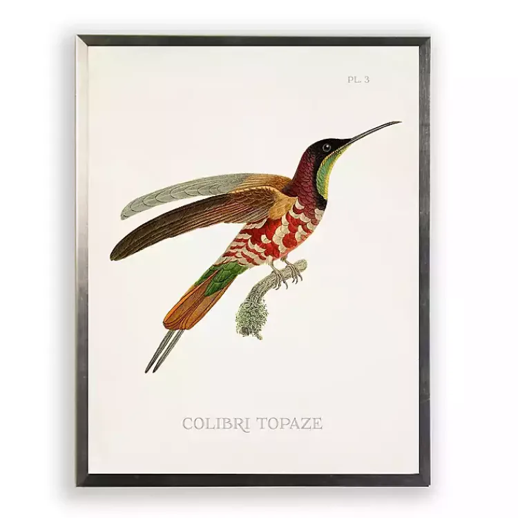 Kirklands Home Hummingbird I Framed Art Print Multi Outlet
