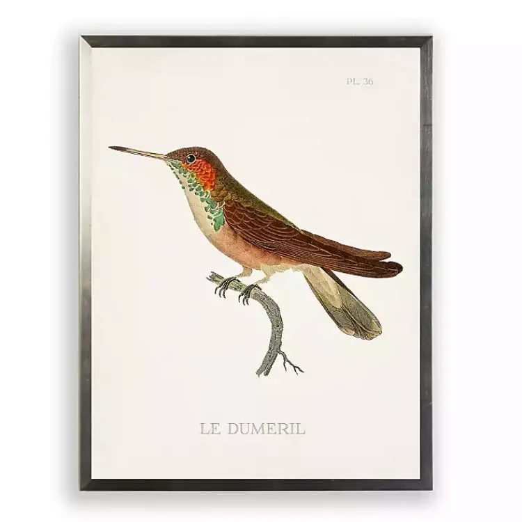 Kirklands Home Hummingbird II Framed Art Print Multi Outlet