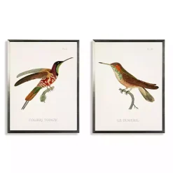 Kirklands Home Hummingbirds I Framed Art Prints, Set of 2 Multi