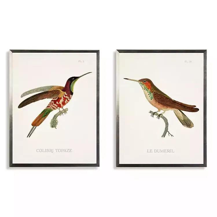 Kirklands Home Hummingbirds I Framed Art Prints, Set of 2 Multi