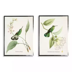 Kirklands Home Hummingbirds on Flowers 2-pc. Framed Art Print Set Sale