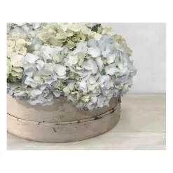 Kirklands Home Hydrangea Cluster Canvas Art Print Online