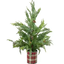Christmas Arrangements & Garland>Kirklands Home Iced Mini Cedar Tree in Plaid Metal Planter
