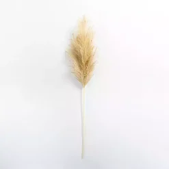 Christmas Arrangements & Garland>Kirklands Home Iced Natural Pampas Grass Stem Tan