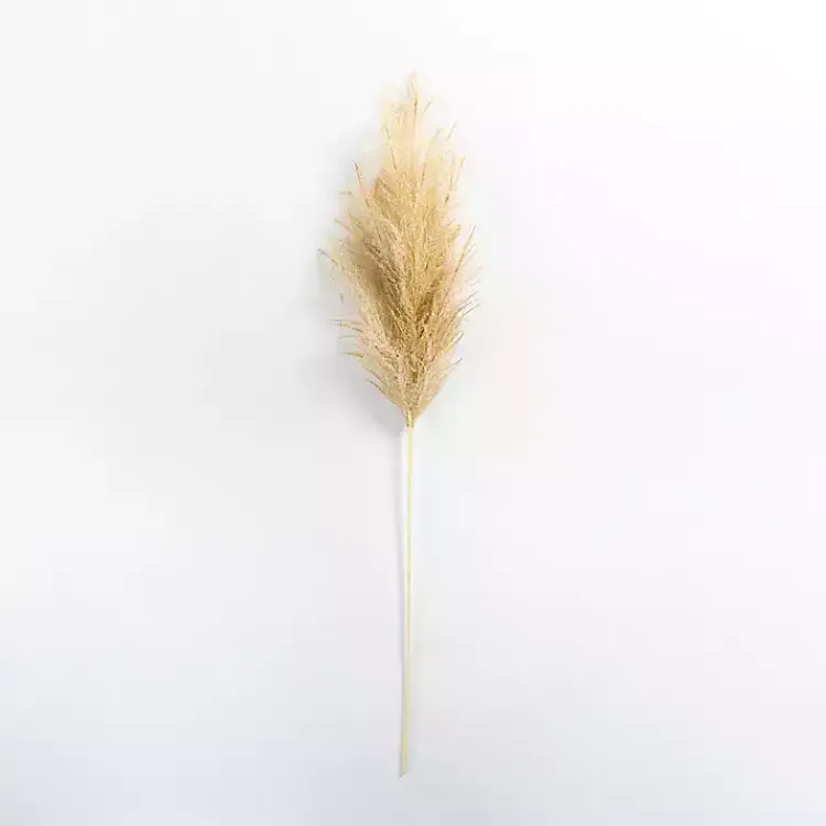 Christmas Arrangements & Garland>Kirklands Home Iced Natural Pampas Grass Stem Tan