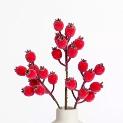 Stems & Bouquets>Kirklands Home Iced Berry Stems, Set of 2 Red