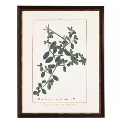 Kirklands Home Illecebrum Greenery Black Beaded Framed Art Print Discount