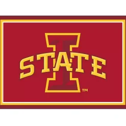 Kirklands Home Iowa State University Area Rug, 3x4 Clearance