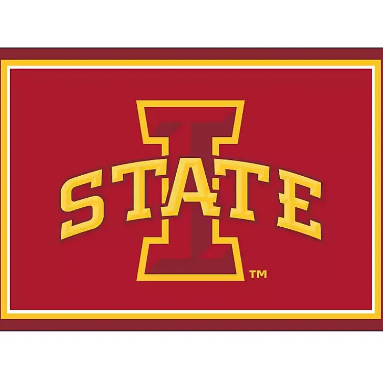 Kirklands Home Iowa State University Area Rug, 3x4 Clearance