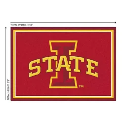 Kirklands Home Iowa State University Area Rug, 3x4 Clearance