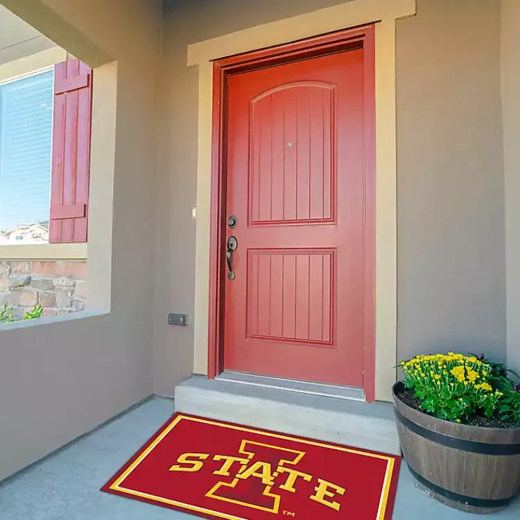 Kirklands Home Iowa State University Area Rug, 3x4 Clearance