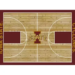 Kirklands Home Iowa State University Courtside Area Rug, 4x6 Hot