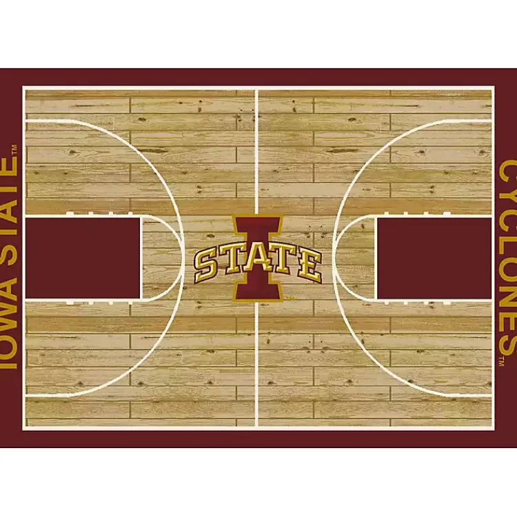 Kirklands Home Iowa State University Courtside Area Rug, 4x6 Hot