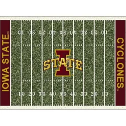 Kirklands Home Iowa State University Homefield Area Rug, 6x8