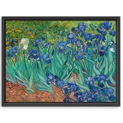 Kirklands Home Irises Framed Canvas Art Print, 26x20 in.