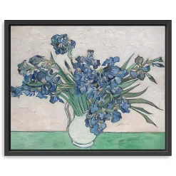 Kirklands Home Irises II Framed Canvas Art Print, 22x18 in.