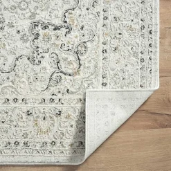 Kirklands Home Isabella Gray and Ivory Area Rug, 4x6 Sale