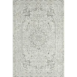 Kirklands Home Isabella Gray and Ivory Area Rug, 5x7 Sale