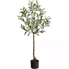 Trees & Topiaries>Kirklands Home Italian Olive Tree in Black Nursery Planter, 4 ft.