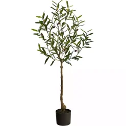 Trees & Topiaries>Kirklands Home Italian Olive Tree in Black Nursery Planter, 4 ft.