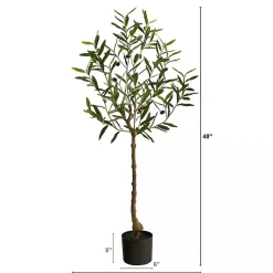 Trees & Topiaries>Kirklands Home Italian Olive Tree in Black Nursery Planter, 4 ft.