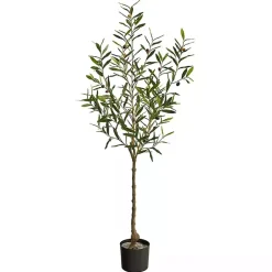 Trees & Topiaries>Kirklands Home Italian Olive Tree in Black Nursery Planter, 5 ft.