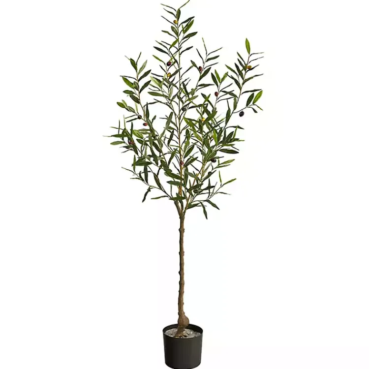 Trees & Topiaries>Kirklands Home Italian Olive Tree in Black Nursery Planter, 5 ft.